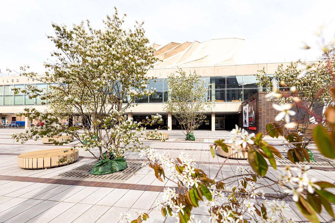 Cik skaisti Lamarka korintes pavasarī saplūst ar Dailes teātra ēkas fasādi un laukumā ieklāto…